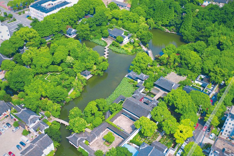 七月寻凉首选地！离上海车程仅1.5h，藏着座解暑小城！赏花赏水更赏情，藏着让人静下来的神奇魔力