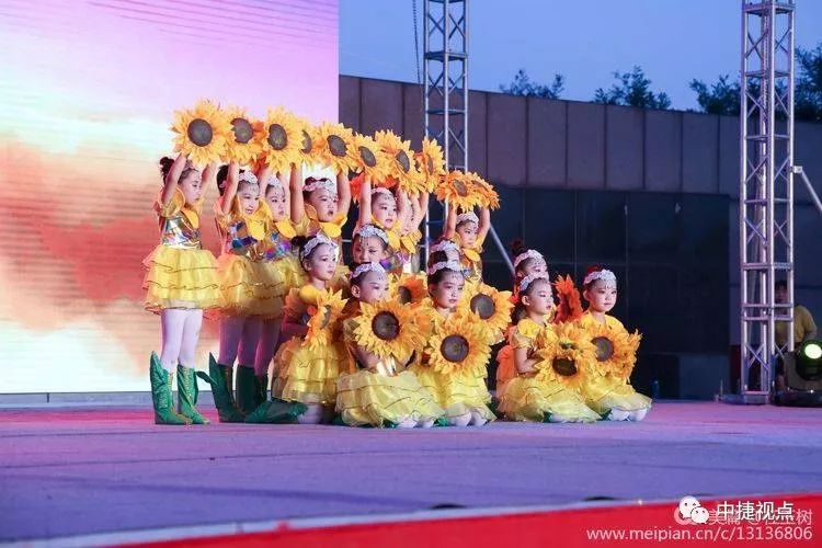 礼赞新中国讴歌新时代——2019年中捷产业园区第十二届消夏晚会盛大启幕