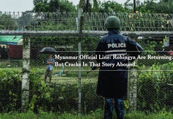 戛纳国际创意节综合报道|官方回顾，一文全览