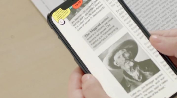 戛纳国际创意节综合报道|官方回顾，一文全览