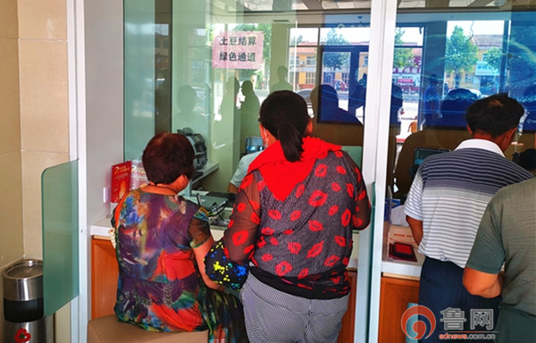 点豆成金——农商行平度支行多网点“帮农忙”助力乡村振兴