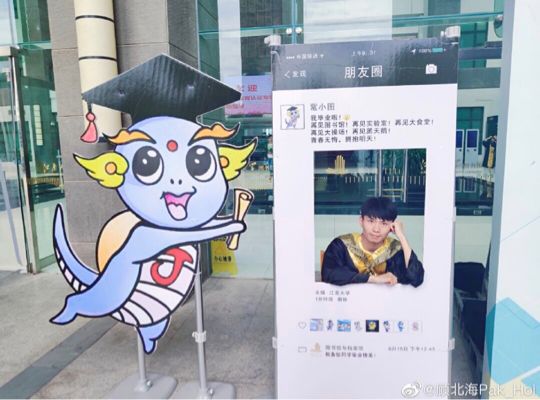 毕业照告别的是我们的青春,毕业照是我们永久的留念