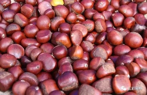 关注|千里之外，这件超有爱的事，有你更好！