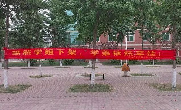 催人泪下的毕业横幅,本科毕业典礼横幅