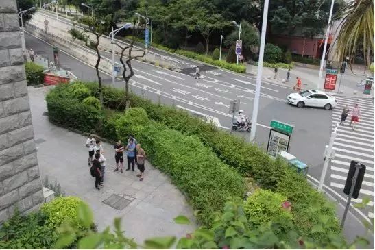 华丽升级,厦禾路哪一年改造