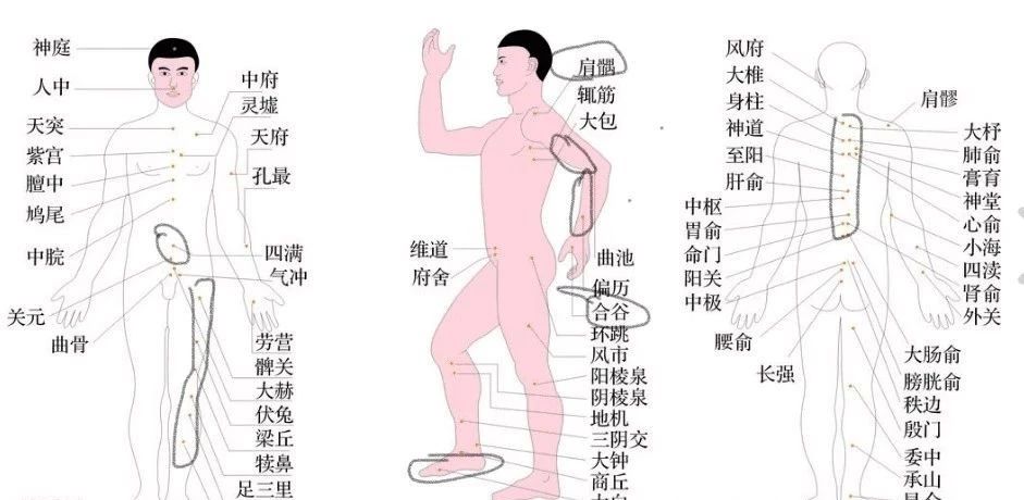 咨询师王攀,王攀的导师是谁