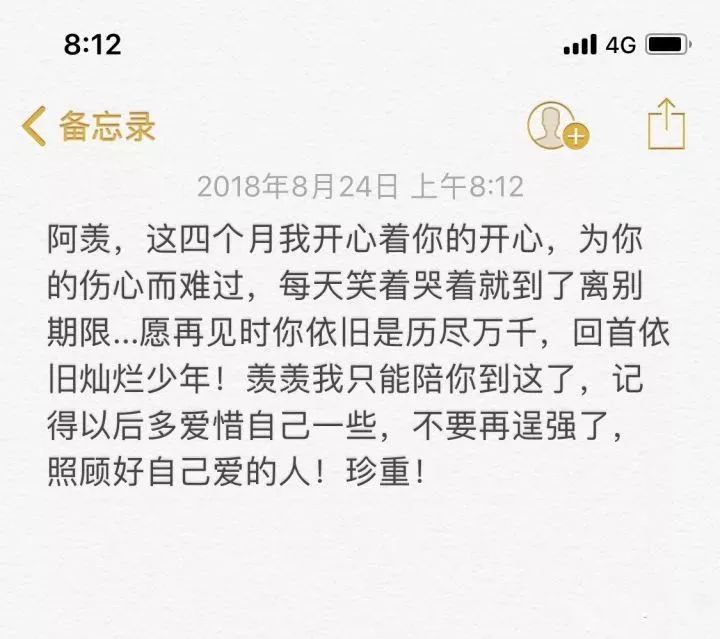 为什么都说陈情令好看,陈情令到底哪里好看