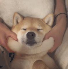 大牌美白精华测评,大牌美白精华总结