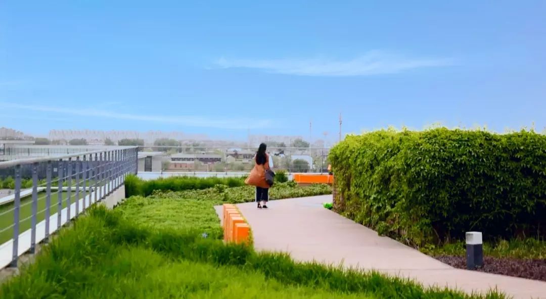 80后知名景观设计师,设计师徐庆