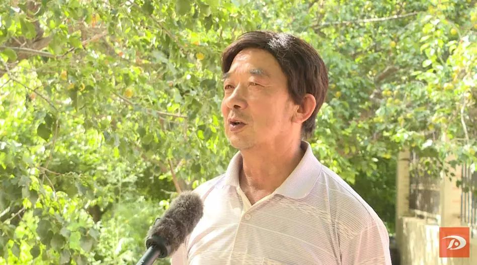 金蛋蛋,金蛋蛋盲袋