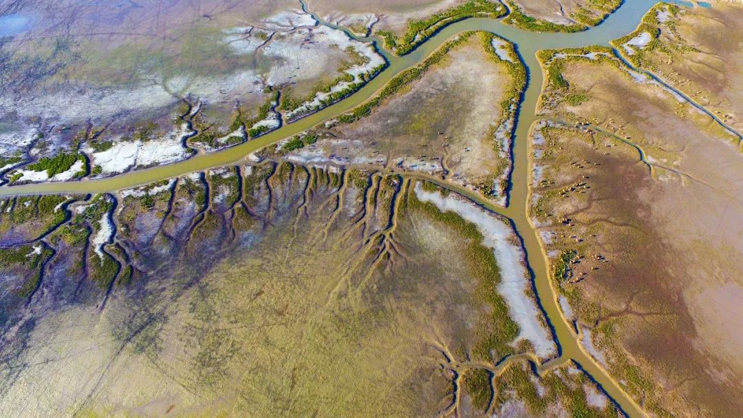 江苏的世界遗产旅游景区,江苏哪些地方被列入世界文化遗产