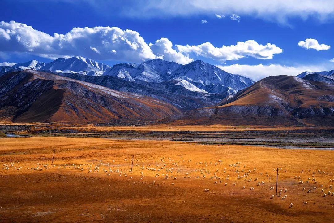 什么是张掖文案,什么是甘肃省