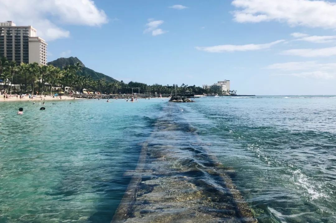 夏威夷旅游攻略阿罗哈,夏威夷maui岛旅游攻略