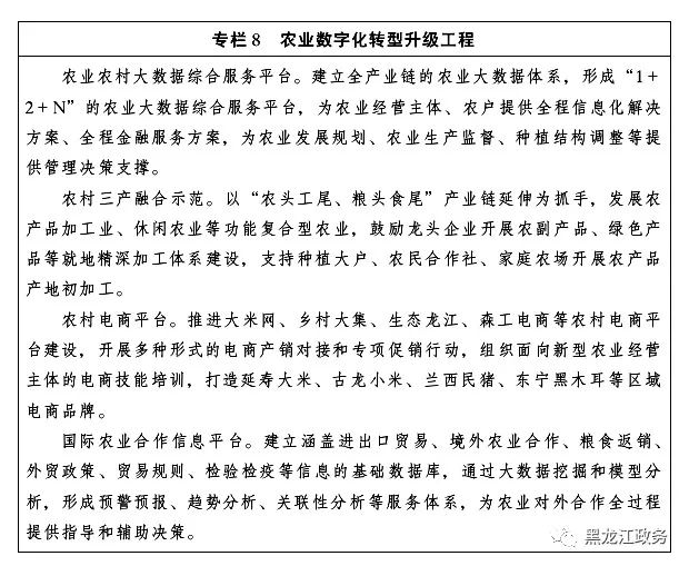 中央对黑龙江省未来发展的指导,龙江县19年城市规划