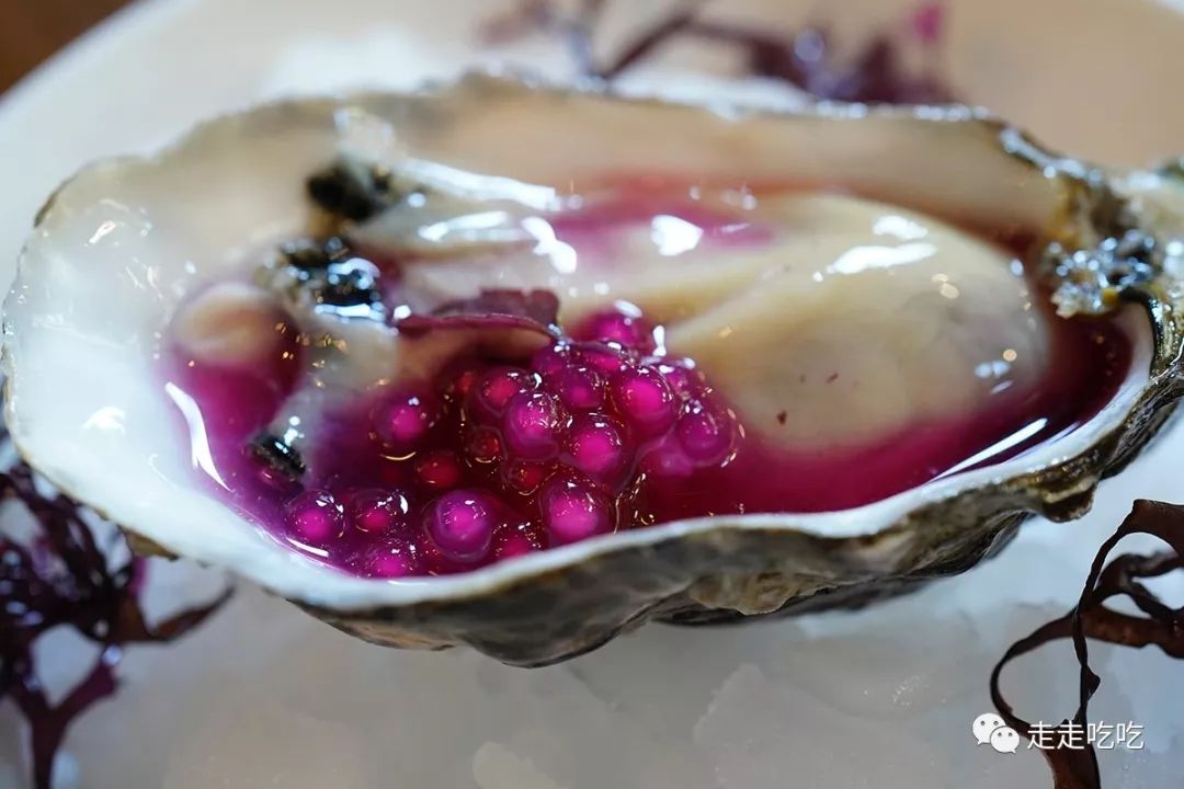 巴塞罗那官网买票攻略,巴塞罗那买车票