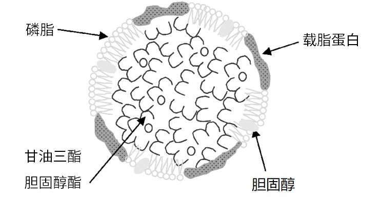 咸鸭蛋能不能只用盐来做,腌咸鸭蛋最快的方法