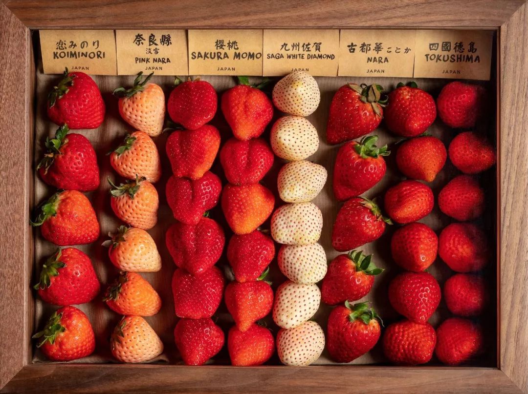 香港最好的特色菜 (香港美食久违了的正宗广东菜)