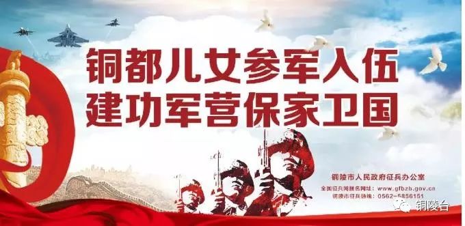 铜陵市孺子牛奖,铜陵市2019年孺子牛奖名单