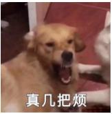 祛疤膏骗局揭秘,祛疤痕修复药膏是不是骗局