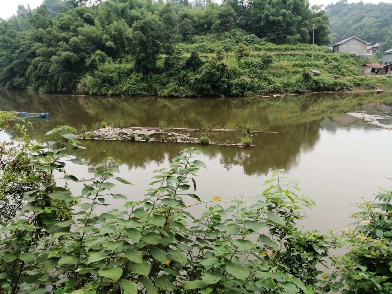 海竿篇：吟龙剑岀鞘擒鲢显风骚