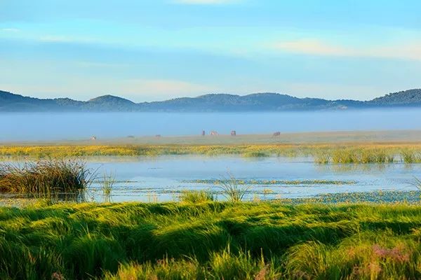 中国那些美丽到醉人的乡村,乡村旅游有哪些特色村庄