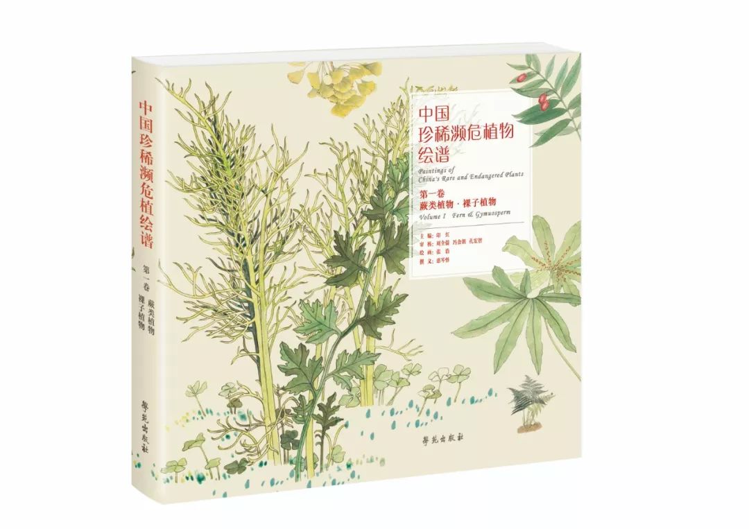 为什么大熊猫是珍稀濒危野生动物,被誉为植物中的大熊猫的珍稀植物