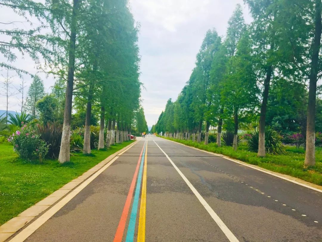 滇池边的湿地公园哪个值得去,滇池边最值得打卡的湿地