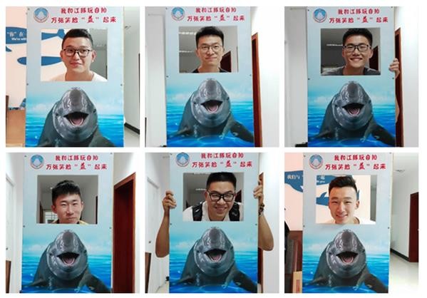 朱鹮是东方白鹤吗,东方宝石朱鹮