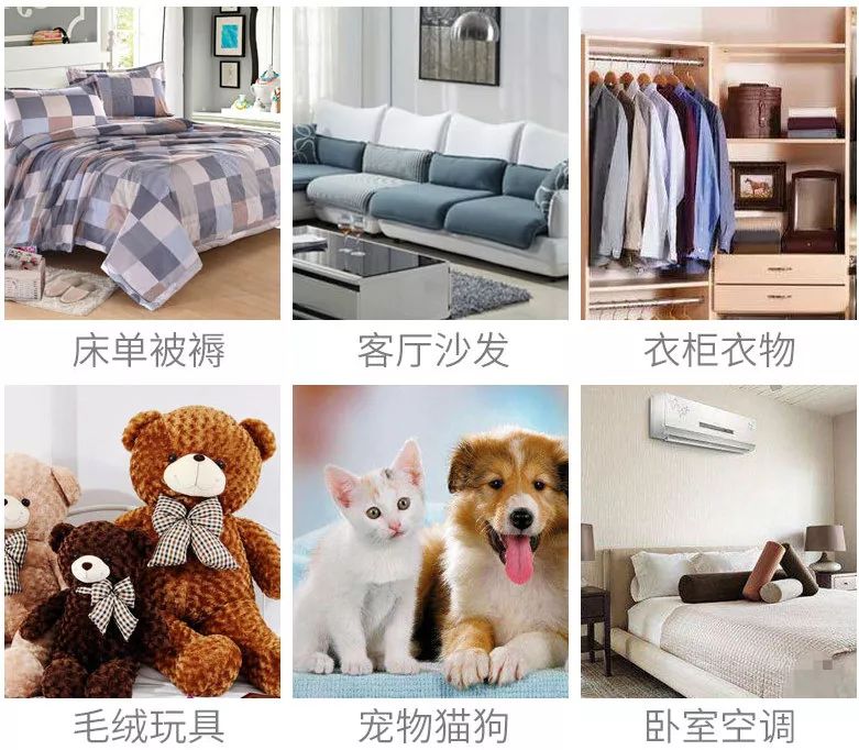 除螨虫喷雾剂哪款最好,喷一喷就可以除螨是真的吗