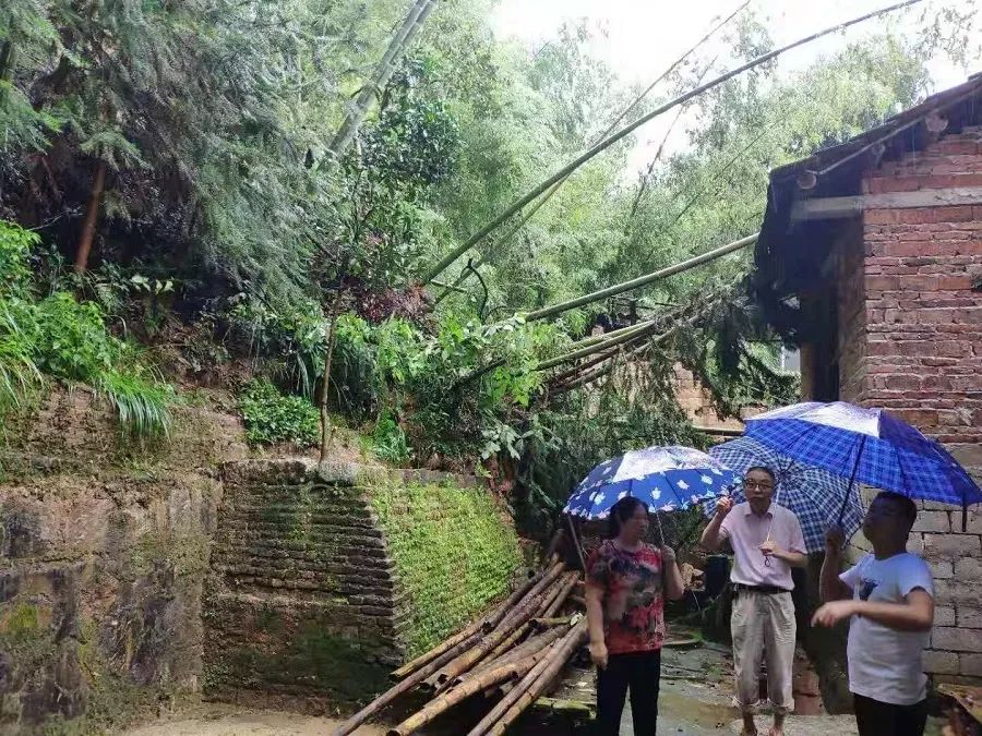 南方的水灾抗洪救灾,全国暴雨抢险救灾工作情况