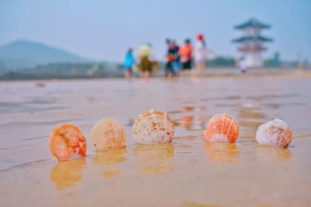 青岛第一渔家长桌宴2019,青岛会场渔家宴