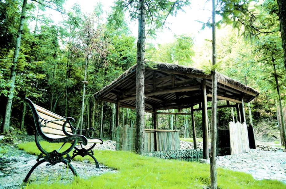 三清山国庆节过后门票免费开放,上饶三清山国庆节免门票吗