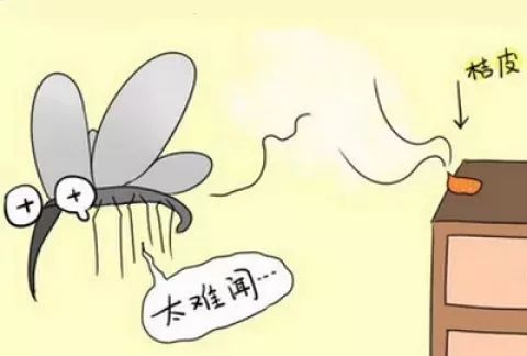 夏天车里面老是有蚊子怎么办,夏天车里蚊子怎么消除