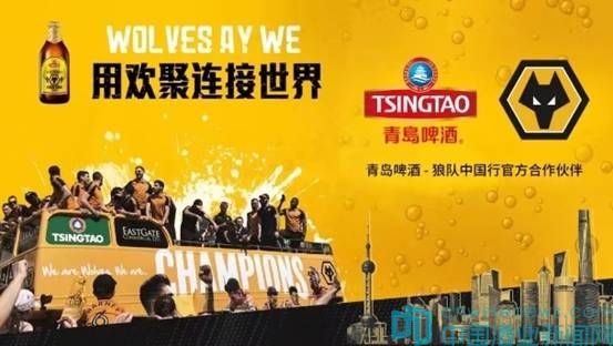 青岛啤酒携手英超狼队畅享欢聚,与“狼”共舞玩转足球与时尚