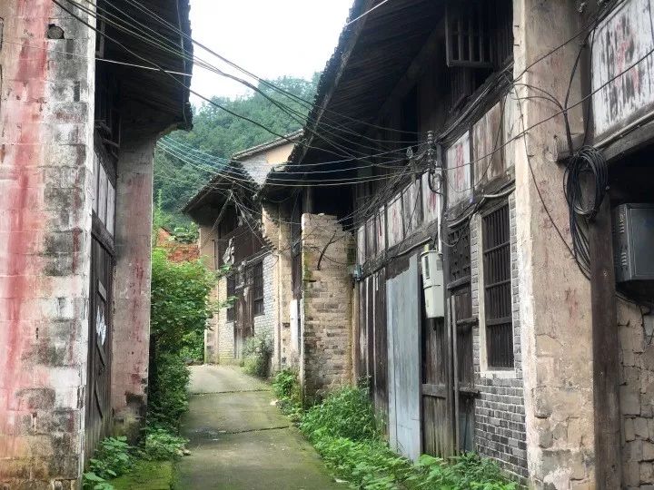 方岩这个村你来过吗？旅美博士要把它介绍给全世界