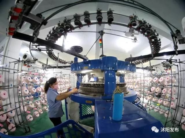 跟着书记县长去观摩，看沭阳七月“美景”红似火！