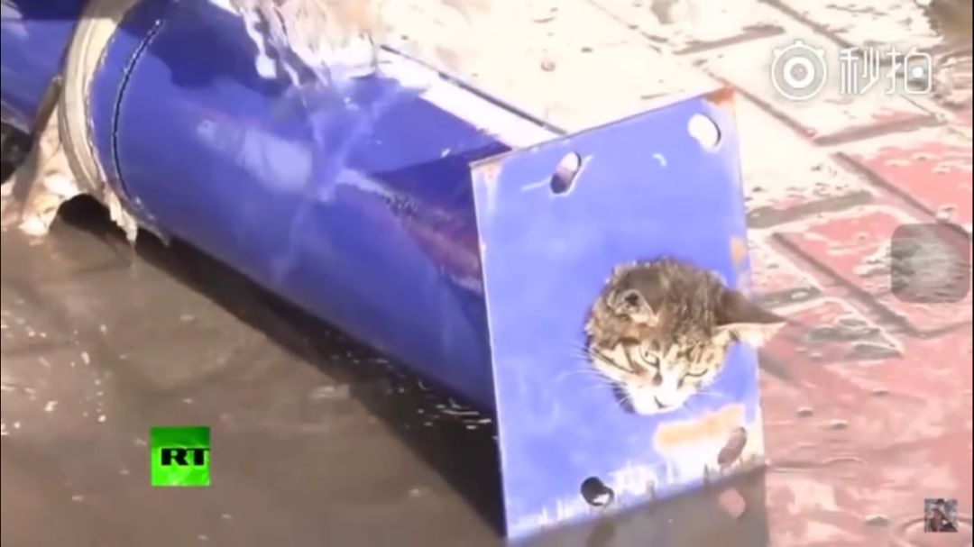 消防员才是人们心目中真正的超人,万能的消防员比什么都有安全感