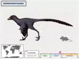 北美洲发现最古老的恐龙,6500万年前的北美洲恐龙
