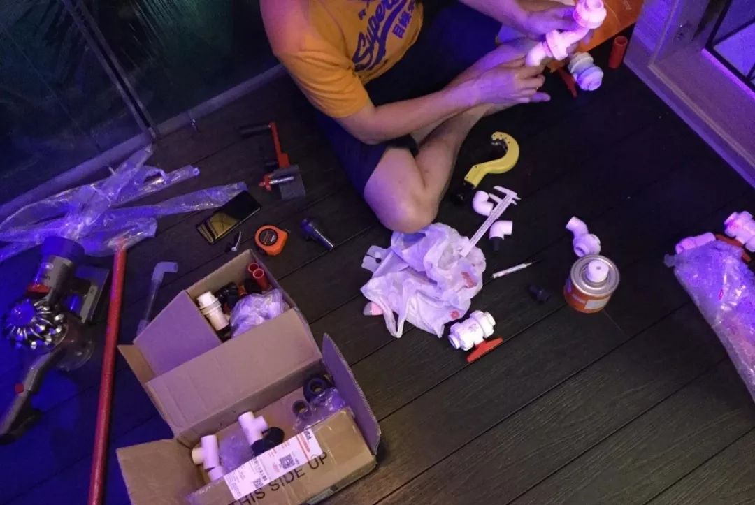 新开缸每天都有鱼死,新开缸鱼一直死