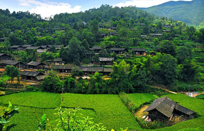 重庆周边武陵山避暑胜地推荐,重庆周边纳凉避暑胜地推荐
