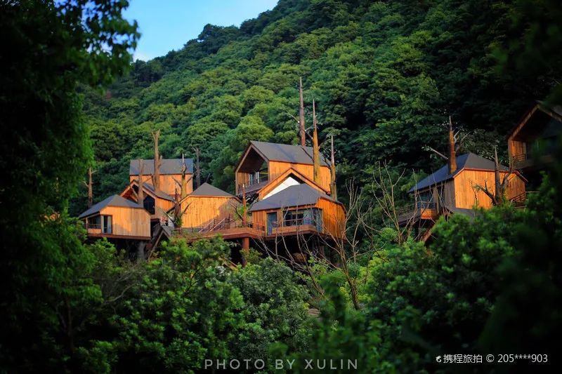 全球最受欢迎树屋酒店｜夜晚坠入大自然的梦乡，清晨在森林的枝桠间醒来