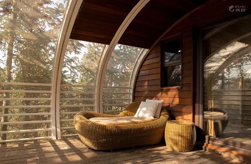 全球最受欢迎树屋酒店｜夜晚坠入大自然的梦乡，清晨在森林的枝桠间醒来