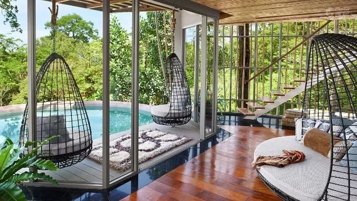 全球最受欢迎树屋酒店｜夜晚坠入大自然的梦乡，清晨在森林的枝桠间醒来