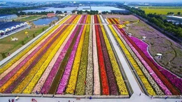 松江三大必游景点推荐,松江三大必游景区