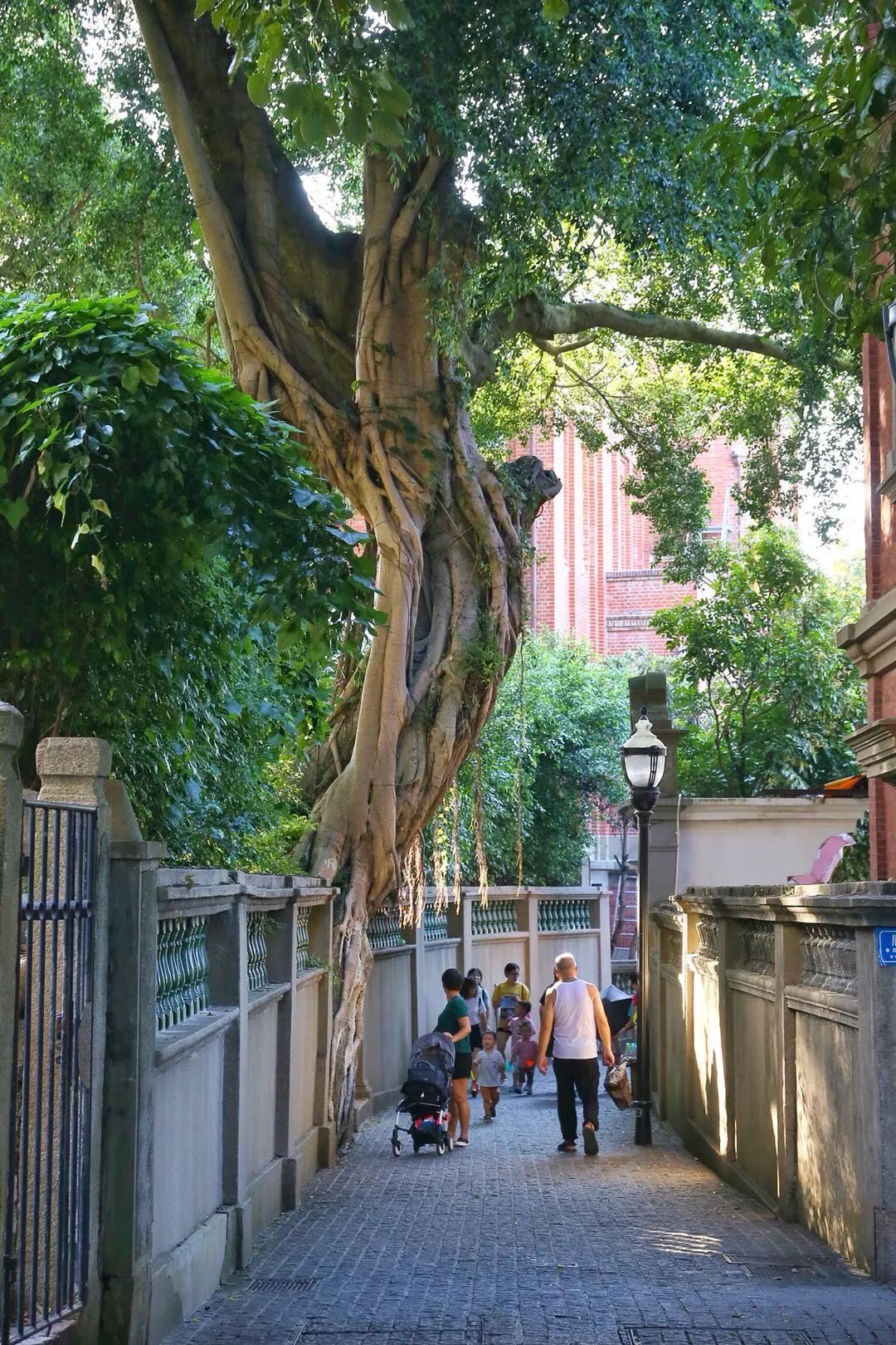 厦门2天1夜美食,厦门两天美食攻略