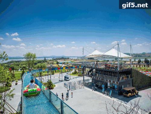 惊艳！花仙子这片向日葵花海盛情绽放！你去看了吗？