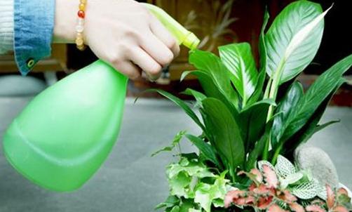 小苏打还有这些大用途?几招教你解决家庭中日常烦恼