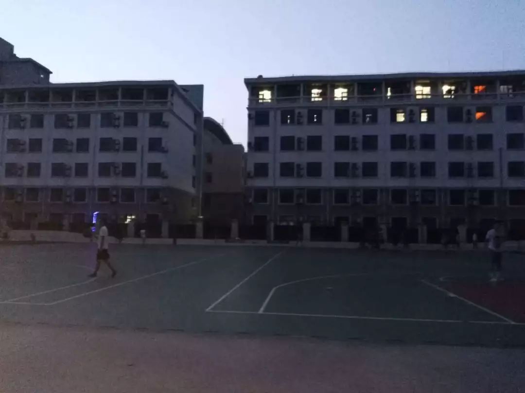 “两眼么擦黑”！还有比夜间春申塘绿地更适合拍鬼片的地方吗？