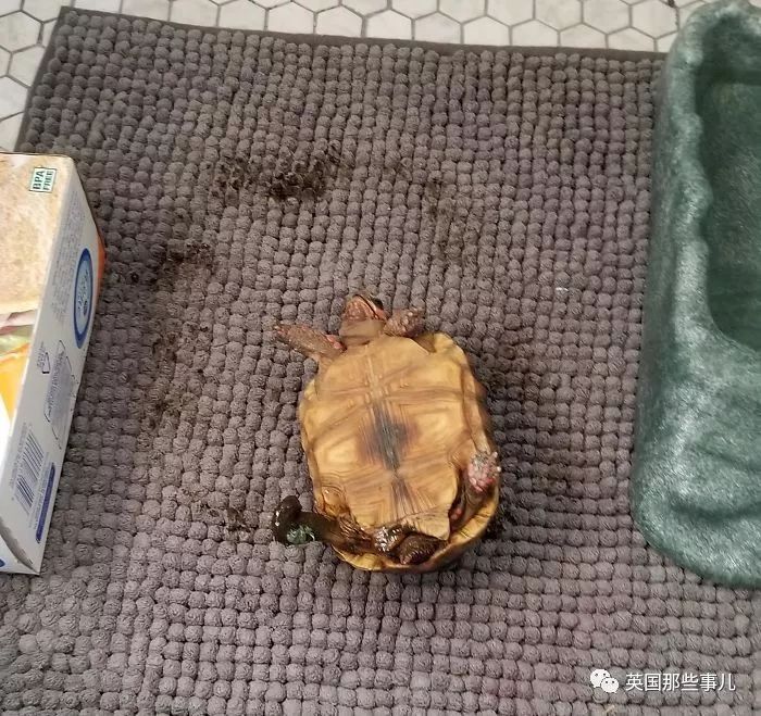 不开心就看看搞笑的视频,不开心不如开心