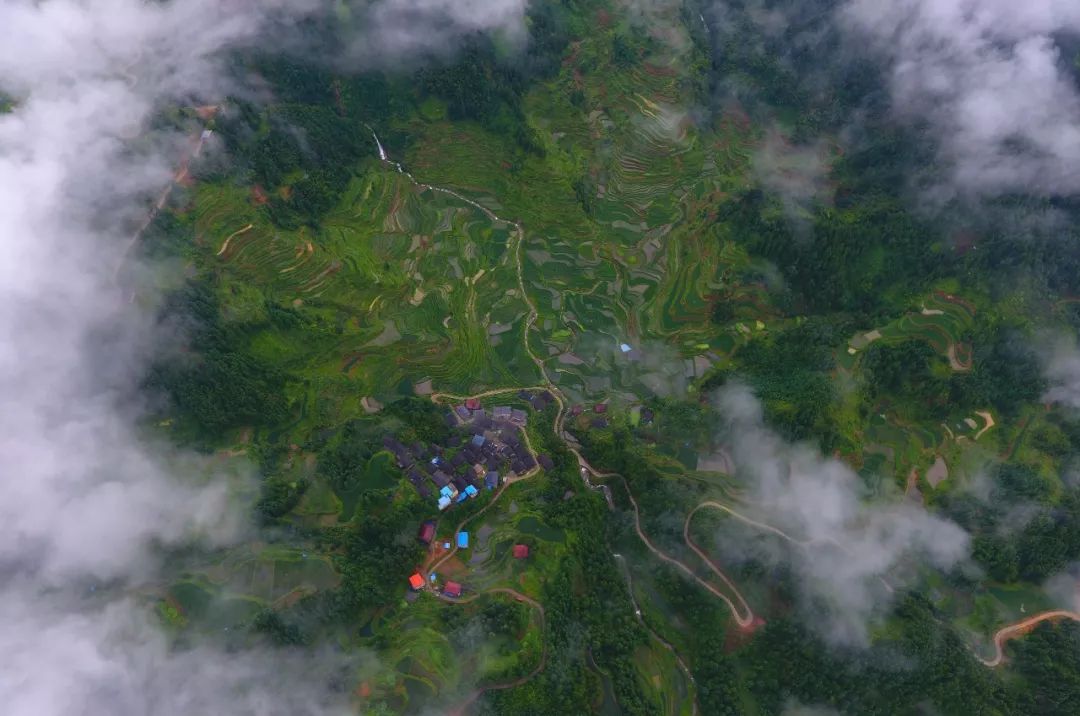 一年中最热吃什么,一年当中最热的都做什么